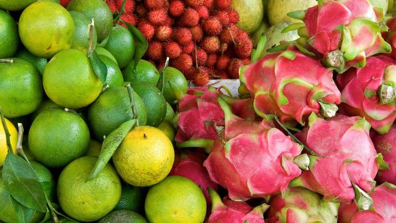 From the temples of Angkor to the Mekong Delta, experience unique and exotic end-of-year celebrations & The Imperial Cities (port-to-port cruise)