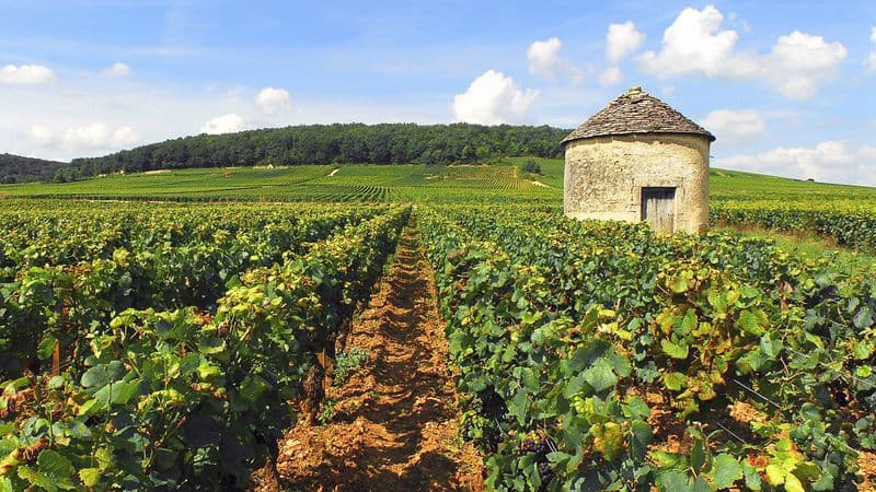 Remarkable Sites and Fine Wines on a Cruise through the Doubs Valley and Burgundy (port-to-port cruise)