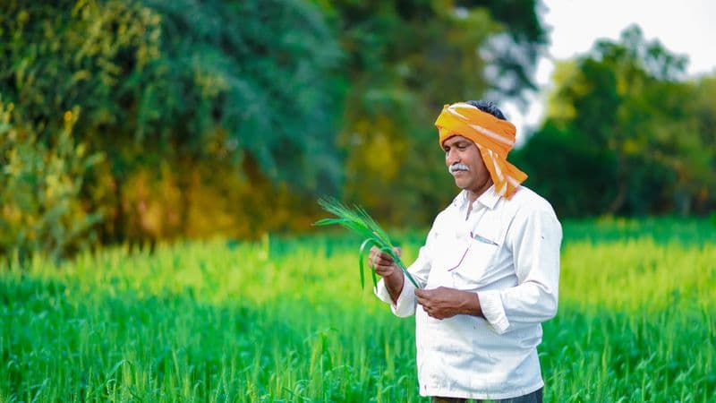 Cruise on the Ganges: The Sacred Waters between Kolkata and Varanasi (port-to-port cruise)