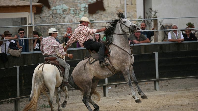A Taste of the Mediterranean: A Cruise through the Heart of Provence and the Camargue Region (port-to-port cruise)