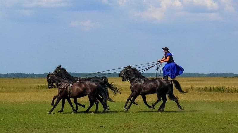 The beautiful blue Danube (port-to-port cruise)