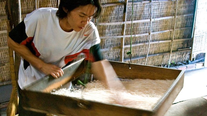 From the Mekong Delta to the Temples of Angkor & The Imperial Cities (port-to-port cruise)