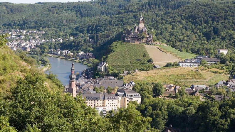 5 Different Rivers: The Rhine, Neckar, Main, Moselle, and Saar (port-to-port cruise)