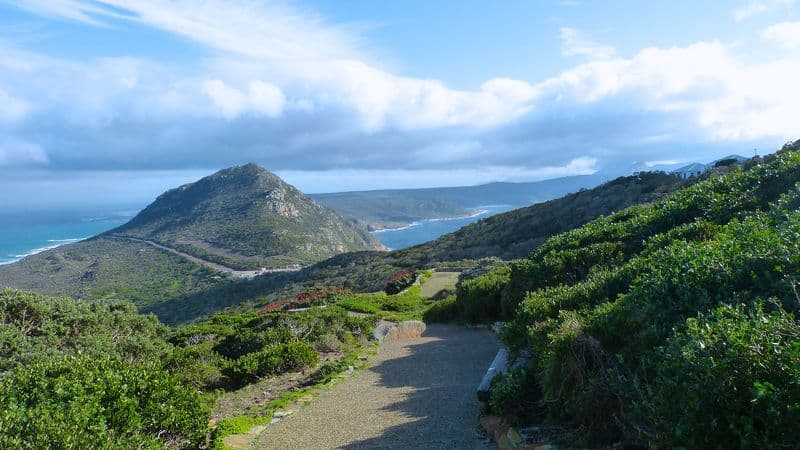 Safari Cruise along the Zambezi River - South Africa, Botswana, Namibia, Zimbabwe with extended stay at the Cape Peninsula (port-to-port cruise)