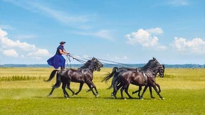 From the Blue Danube to the Black Sea (port-to-port cruise)