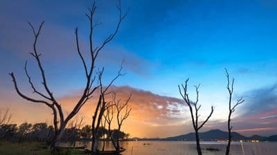 Safari Cruise along the Zambezi River - South Africa, Botswana, Namibia, Zimbabwe with extended stay at the Cape Peninsula (port-to-port cruise)