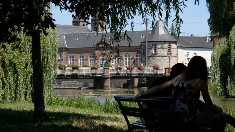 5 Different Rivers: The Rhine, Neckar, Main, Moselle, and Saar (port-to-port cruise)