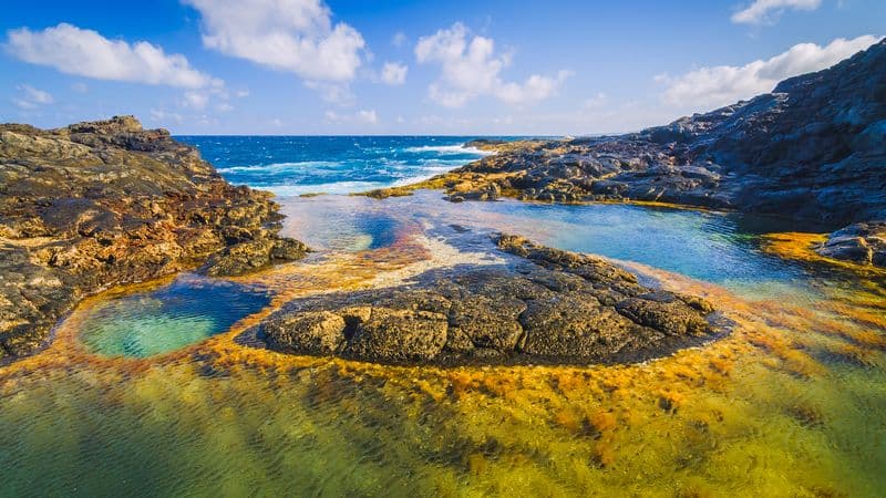 Cruise through the Canary Island Archipelago, eternal Springtime