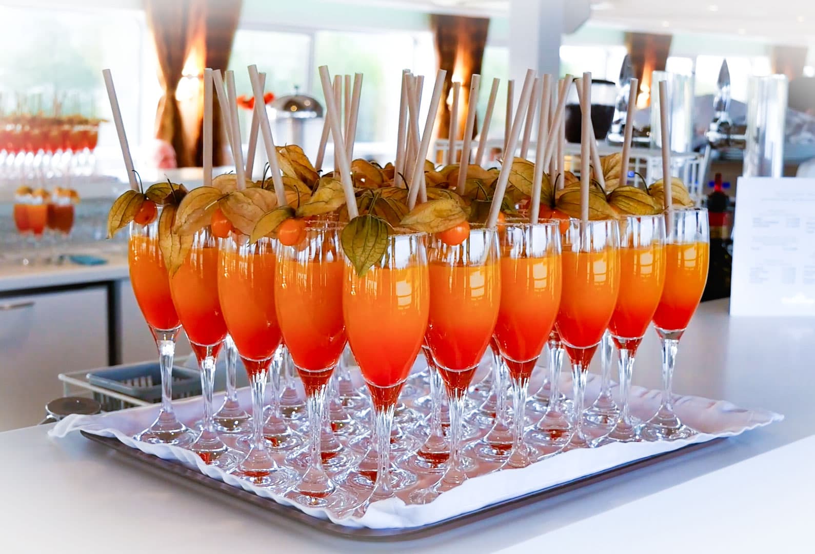 The Rhine and Moselle Rivers